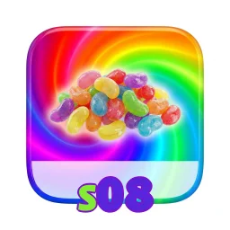 s08